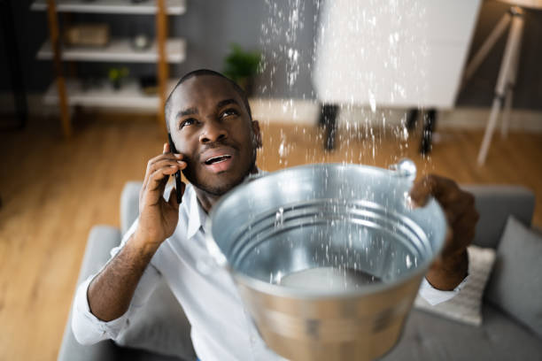 Best Residential water damage restoration  in Brush, CO
