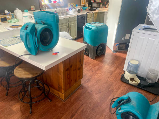 Carpet water damage restoration in Brush, CO