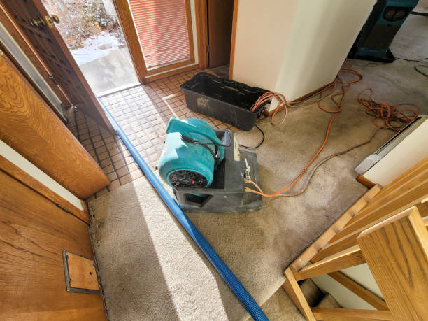 Best Water damage restoration near me  in Brush, CO