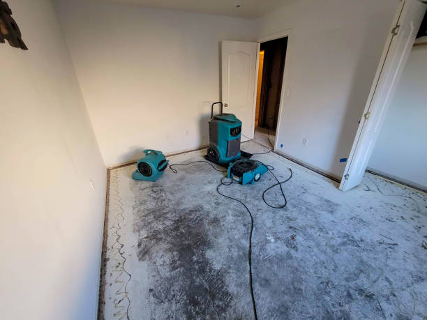 Best Residential water damage restoration  in Brush, CO