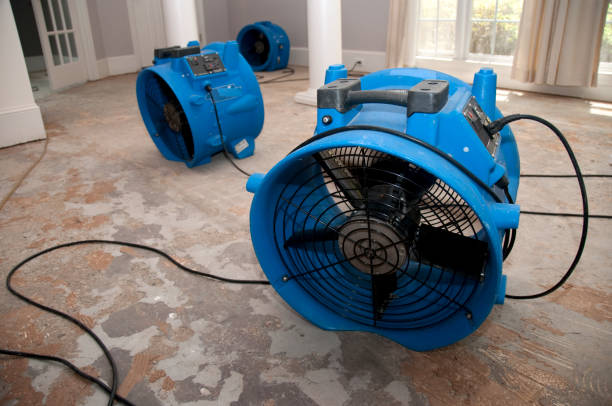 Best Commercial water damage restoration  in Brush, CO