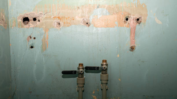 Best 24/7 water damage repair  in Brush, CO