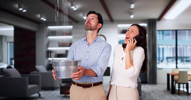 Best Water damage restoration near me  in Brush, CO