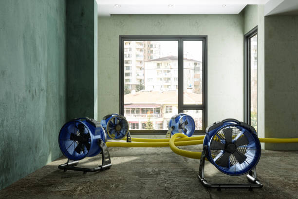 Best Emergency water damage restoration  in Brush, CO